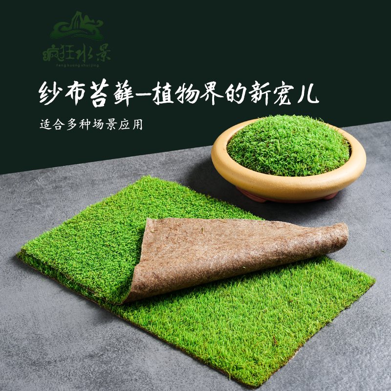 鲜活苔藓微景观盆景蒲面青苔小灰纱布短绒苔藓庭院草皮雨林水陆缸