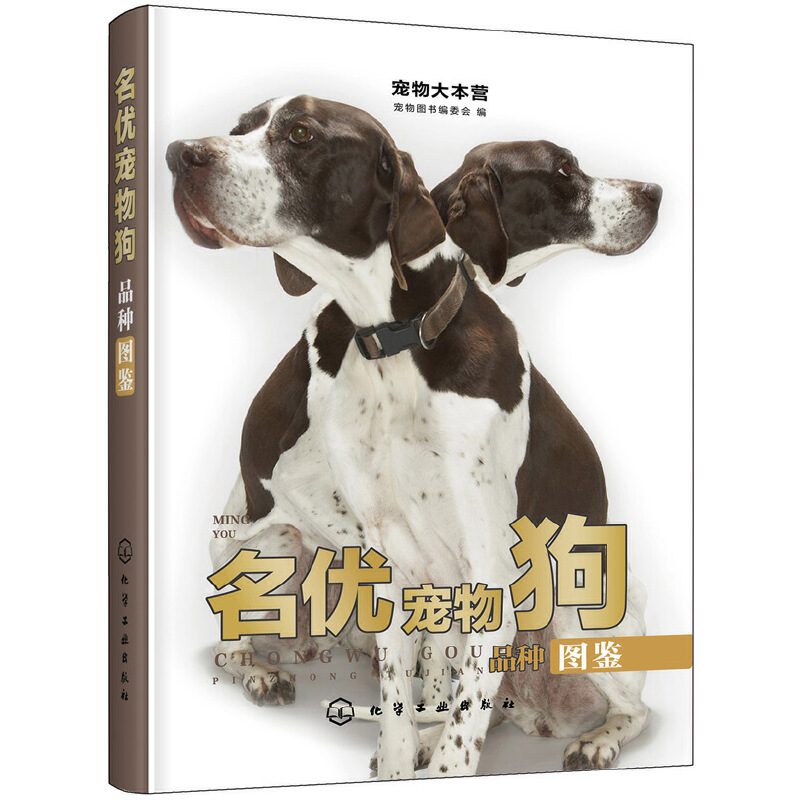 宠物大本营 名优宠物狗品种图鉴 养狗大全名狗名犬训狗猫训犬狗