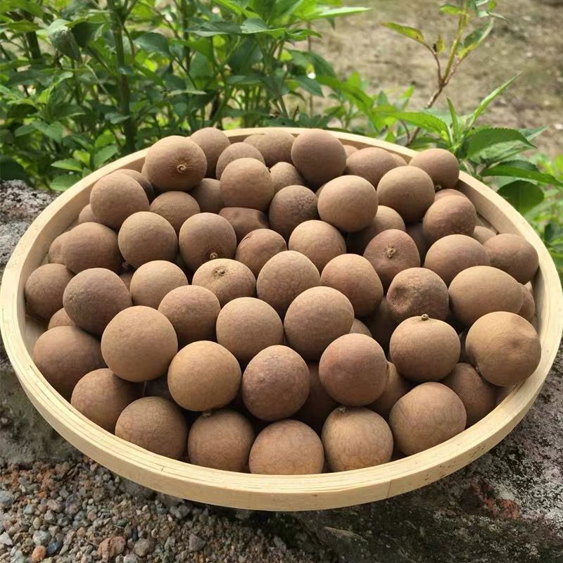 大颗粒桂圆干（带壳）500克包邮桂圆肉肉厚皮薄烘干香甜散装产地