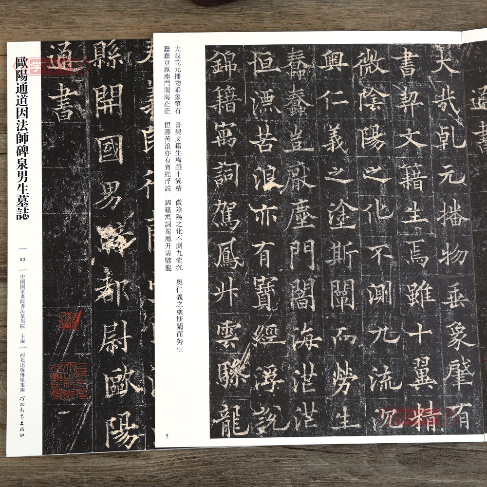 欧阳通道因法师碑泉男生墓志83哑光平铺繁体旁注传世书法碑帖原碑