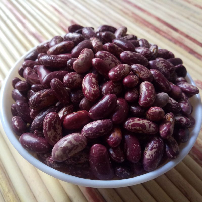 东北黑龙江新红花芸豆红紫花大饭豆子5斤农家自产种散装红腰豆五