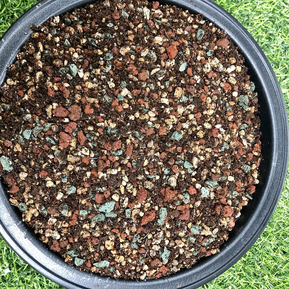 多肉植物70%颗粒土，上色快、疏松透气、控型，无菌无虫，5斤装。