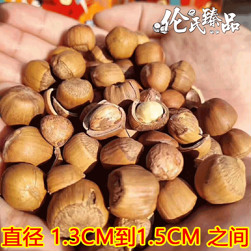 伦记大粒手拍山榛子熟1.3-1.6厘米之间