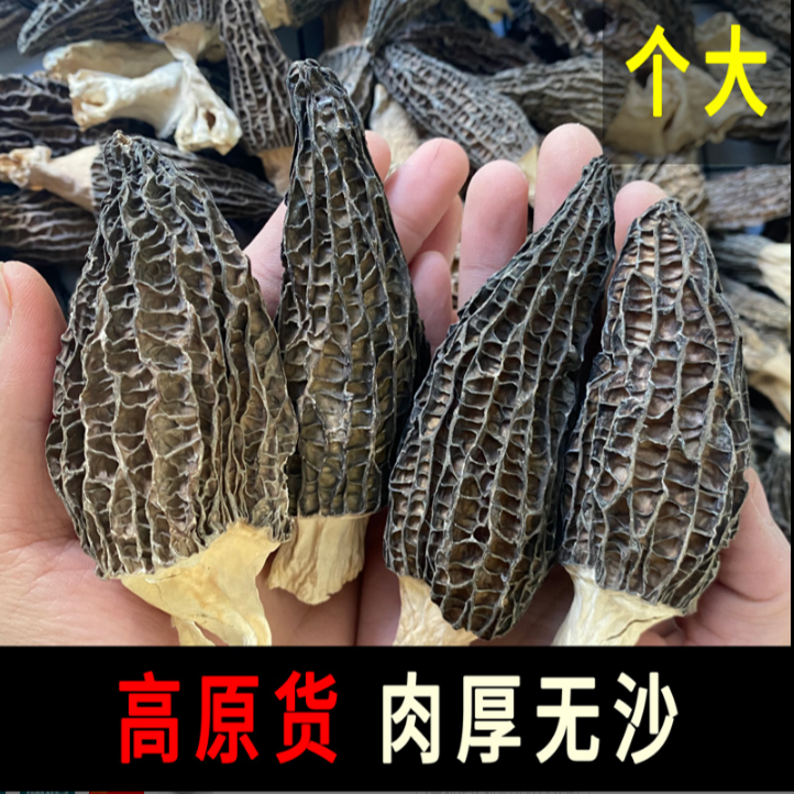 精品羊肚菌干货野生大号云南特产煲汤食材蘑菇菌超大个