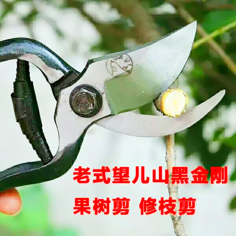 黑金刚古董剪刀老式锻打辽宁望儿山修枝剪果树剪花剪刀园艺剪包邮