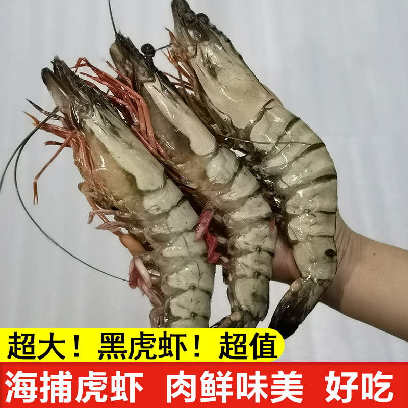 10头 特大黑虎虾  1盒600g  共12只 海虾大虾 虎虾过年过节送礼